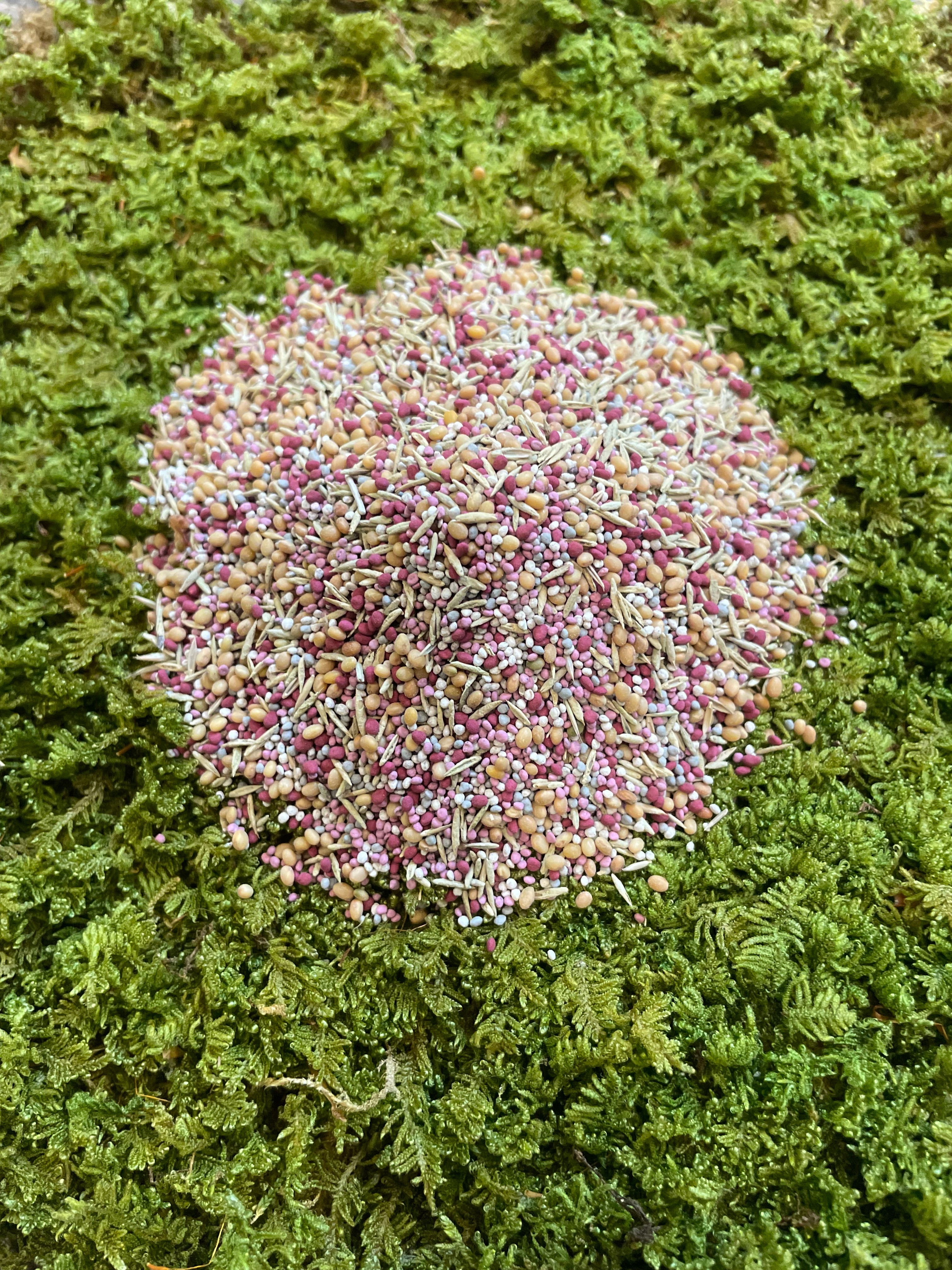 Low Grow™ No-Mow Lawn Mix