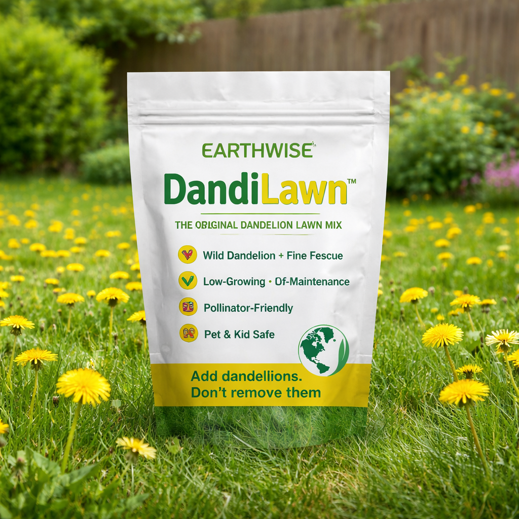 DandiLawn™ Dandelion Lawn Mix