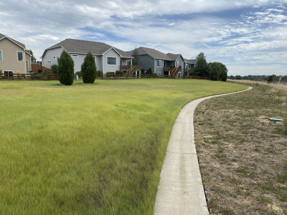 TrueGrass Native Grass Seed - The No Maintenance