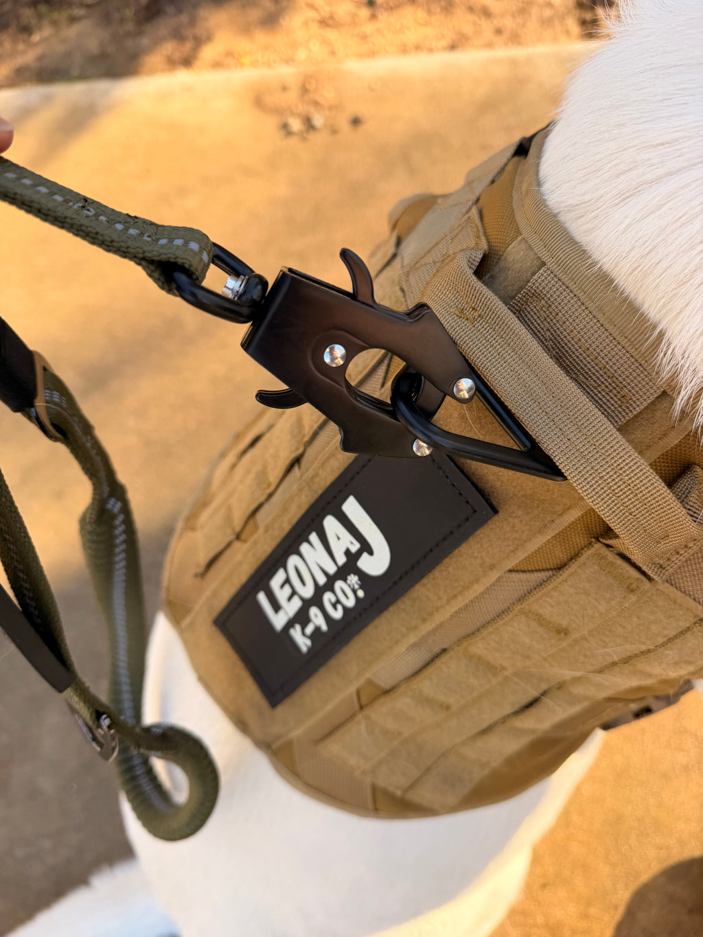 Heavy Duty Quick-Release Bungee Leash