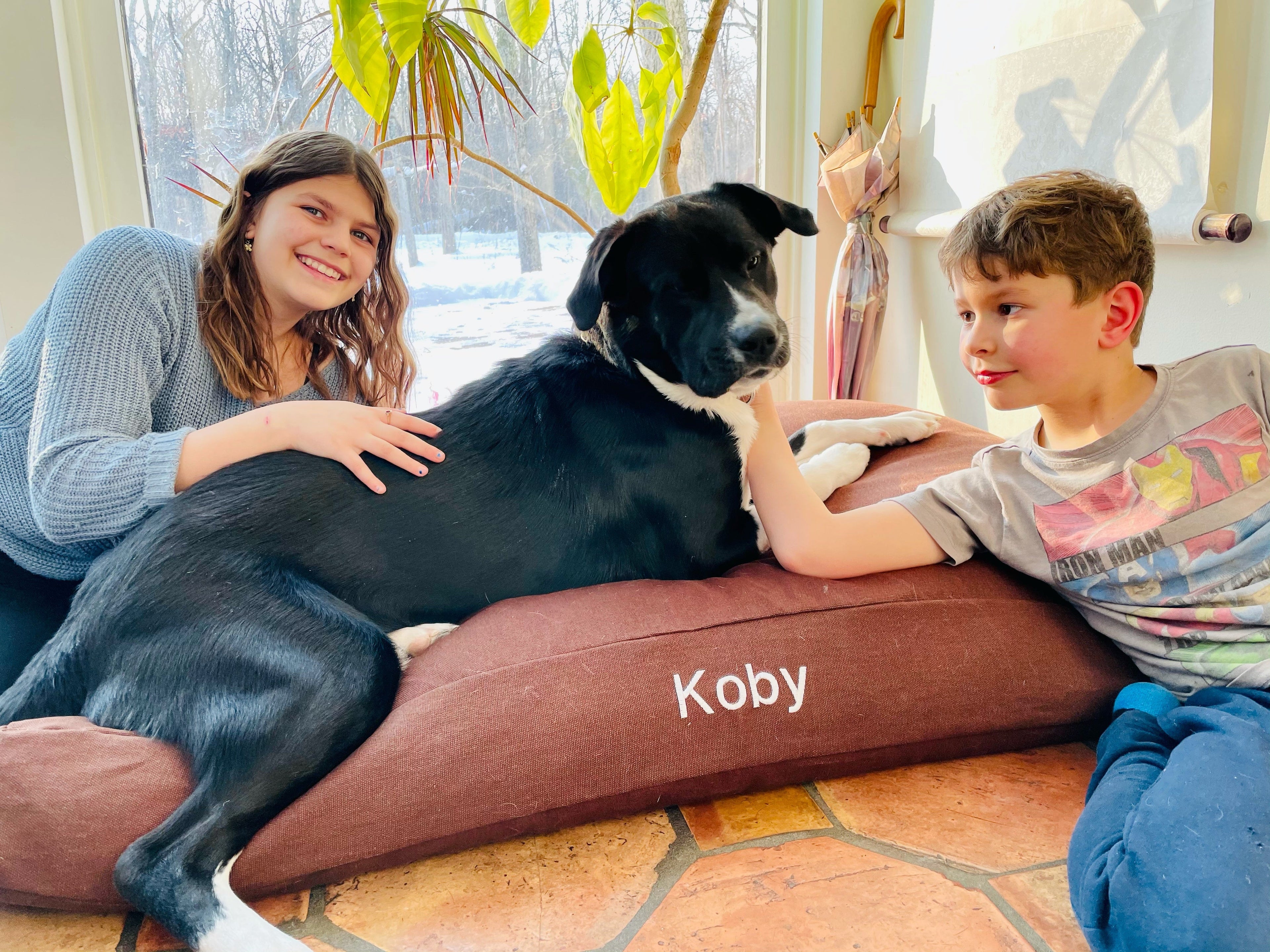 Premium Hemp Dog Bed