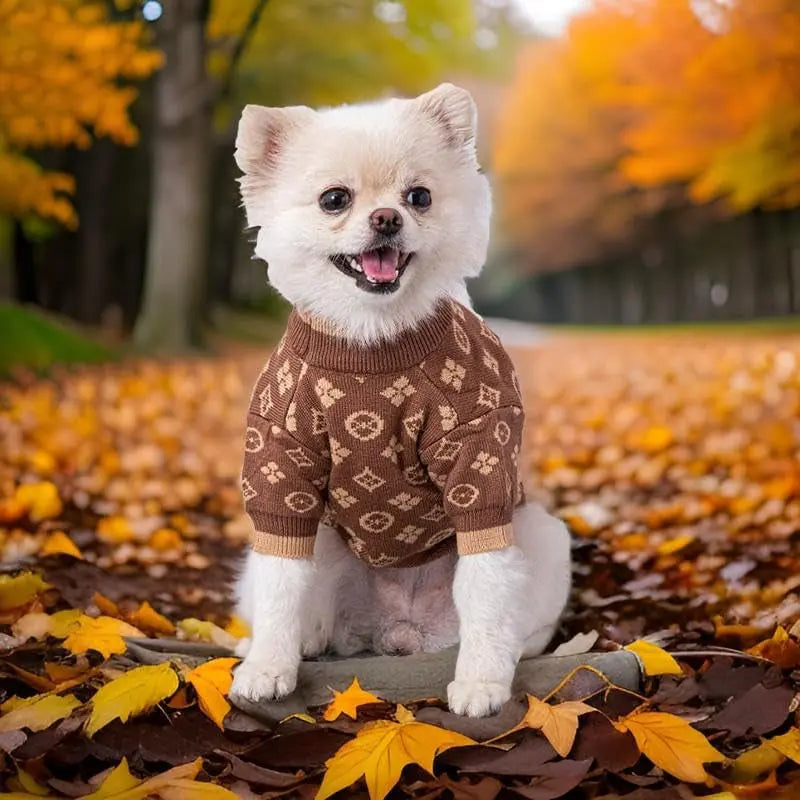 Luxury Knit Dog Sweater