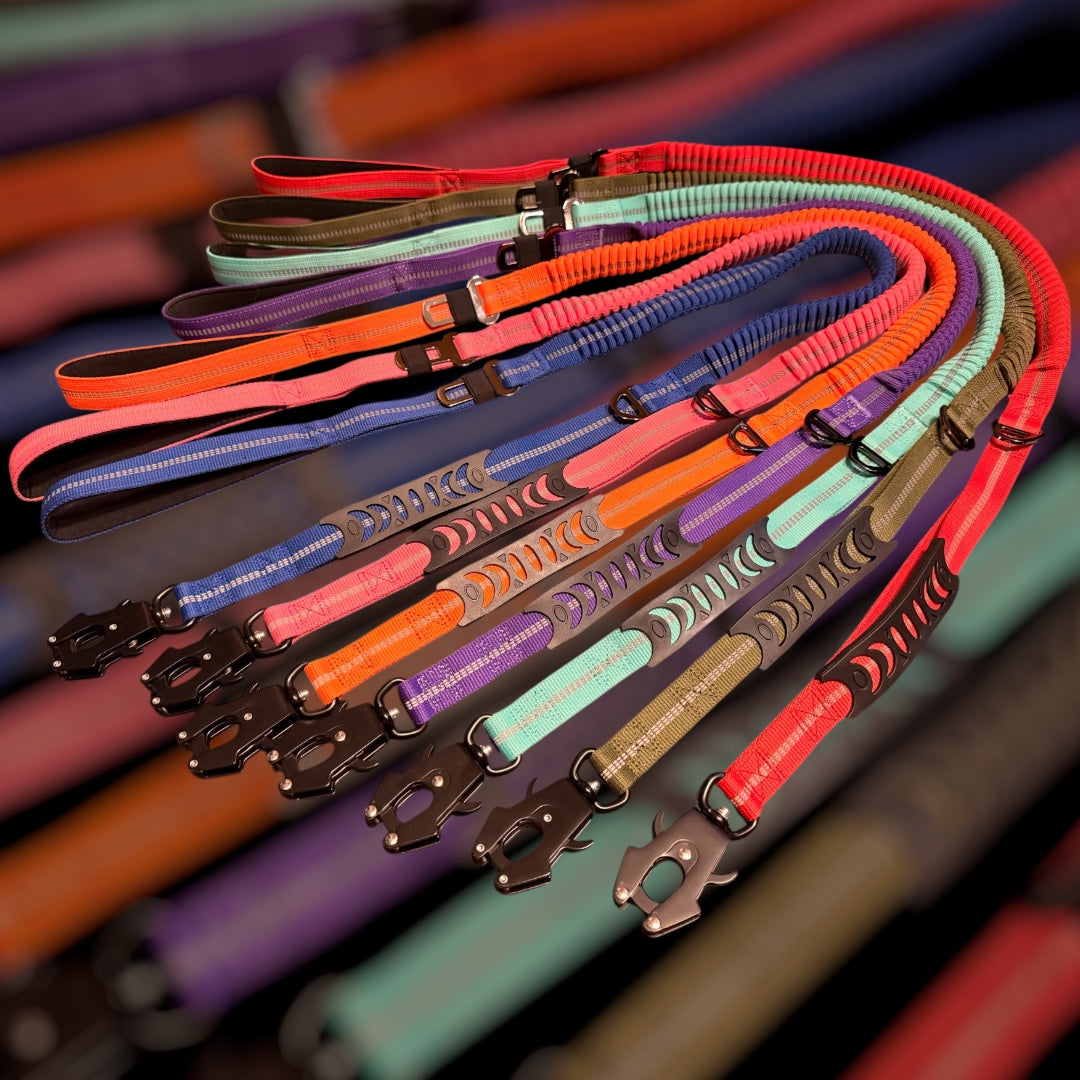 Heavy Duty Quick-Release Bungee Leash
