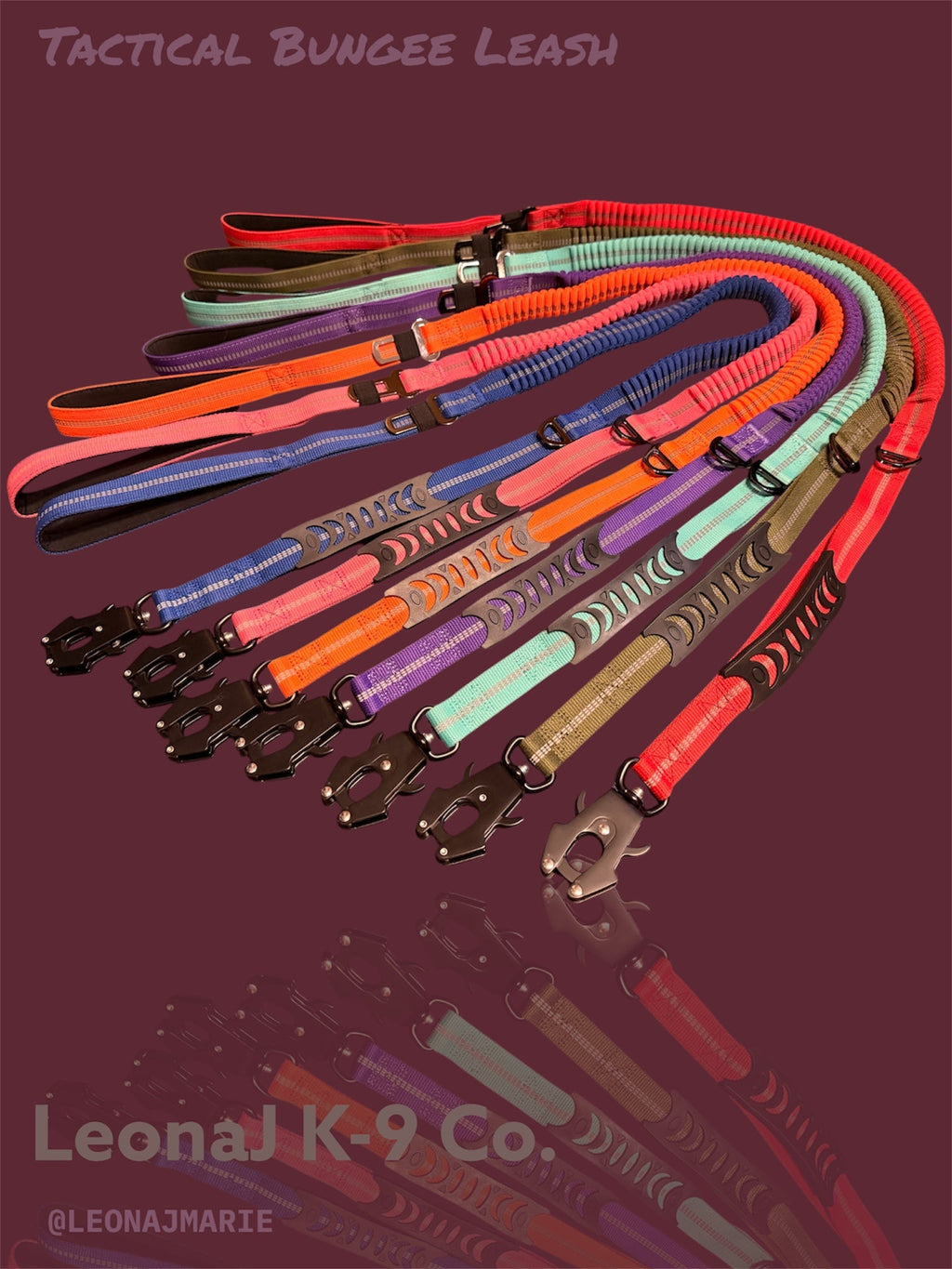 Heavy Duty Quick-Release Bungee Leash