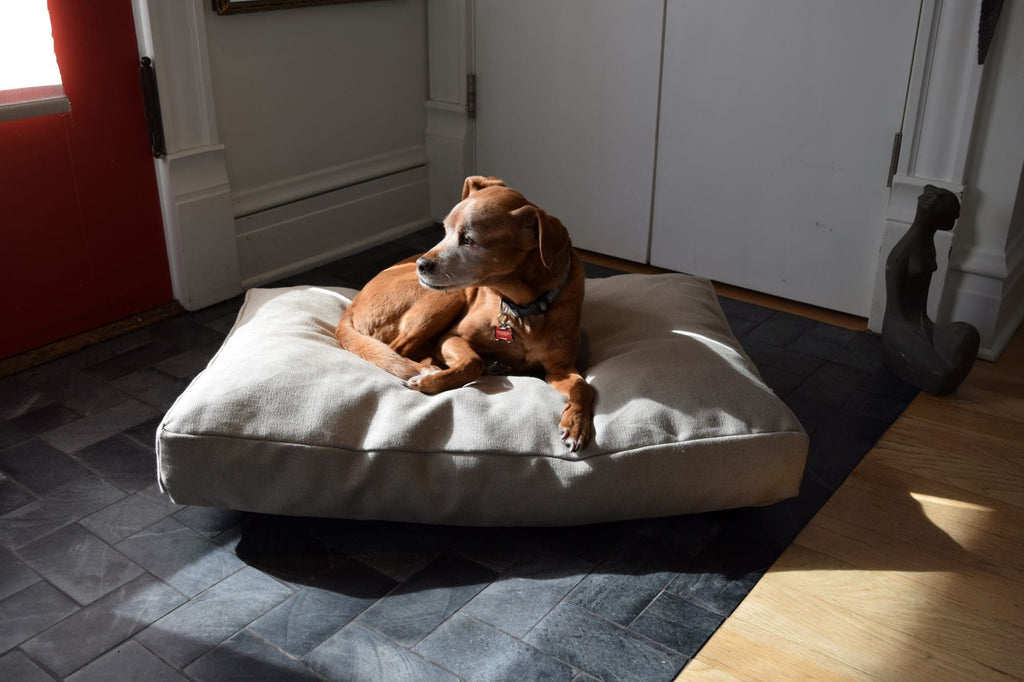 Premium Hemp Dog Bed