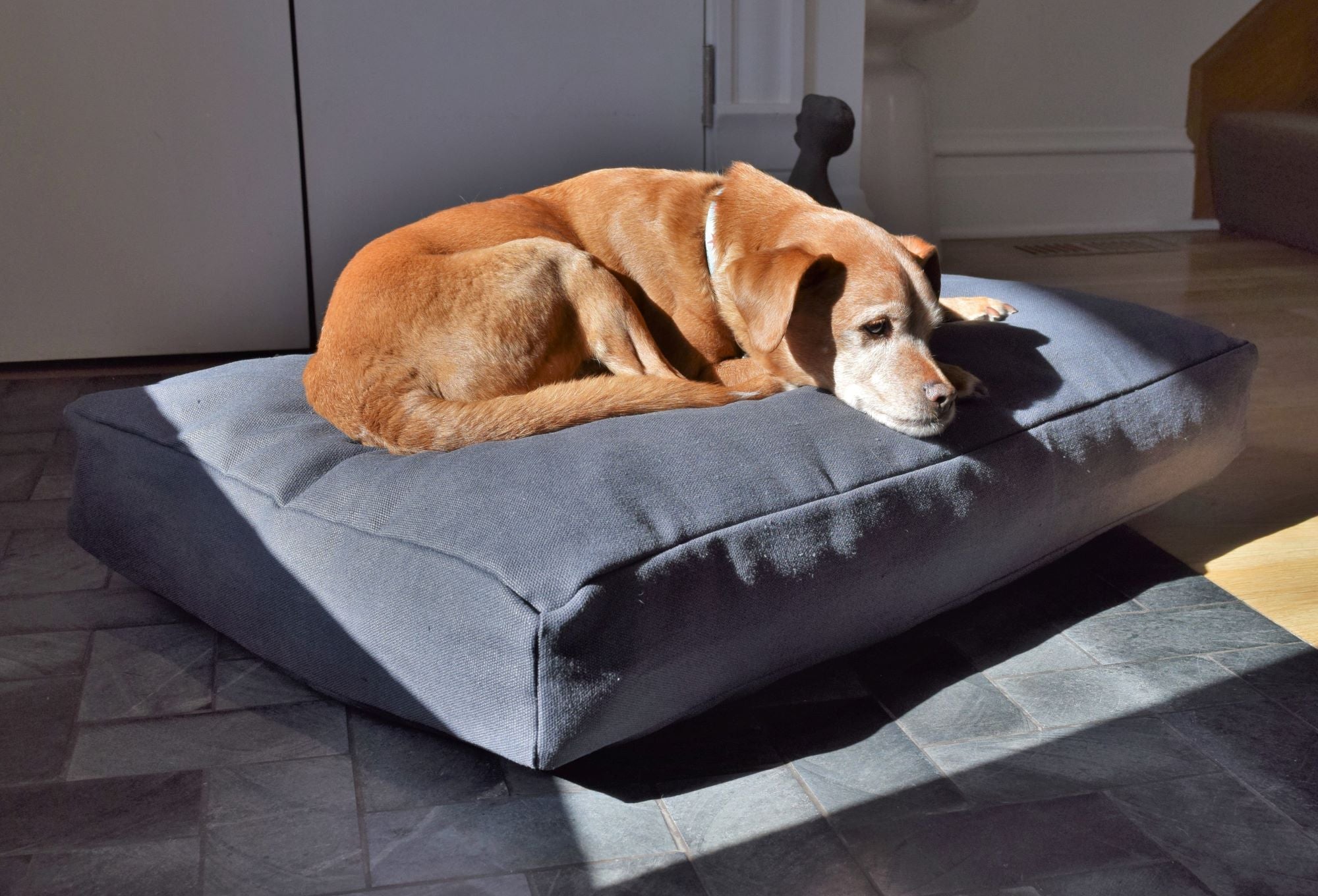Premium Hemp Dog Bed