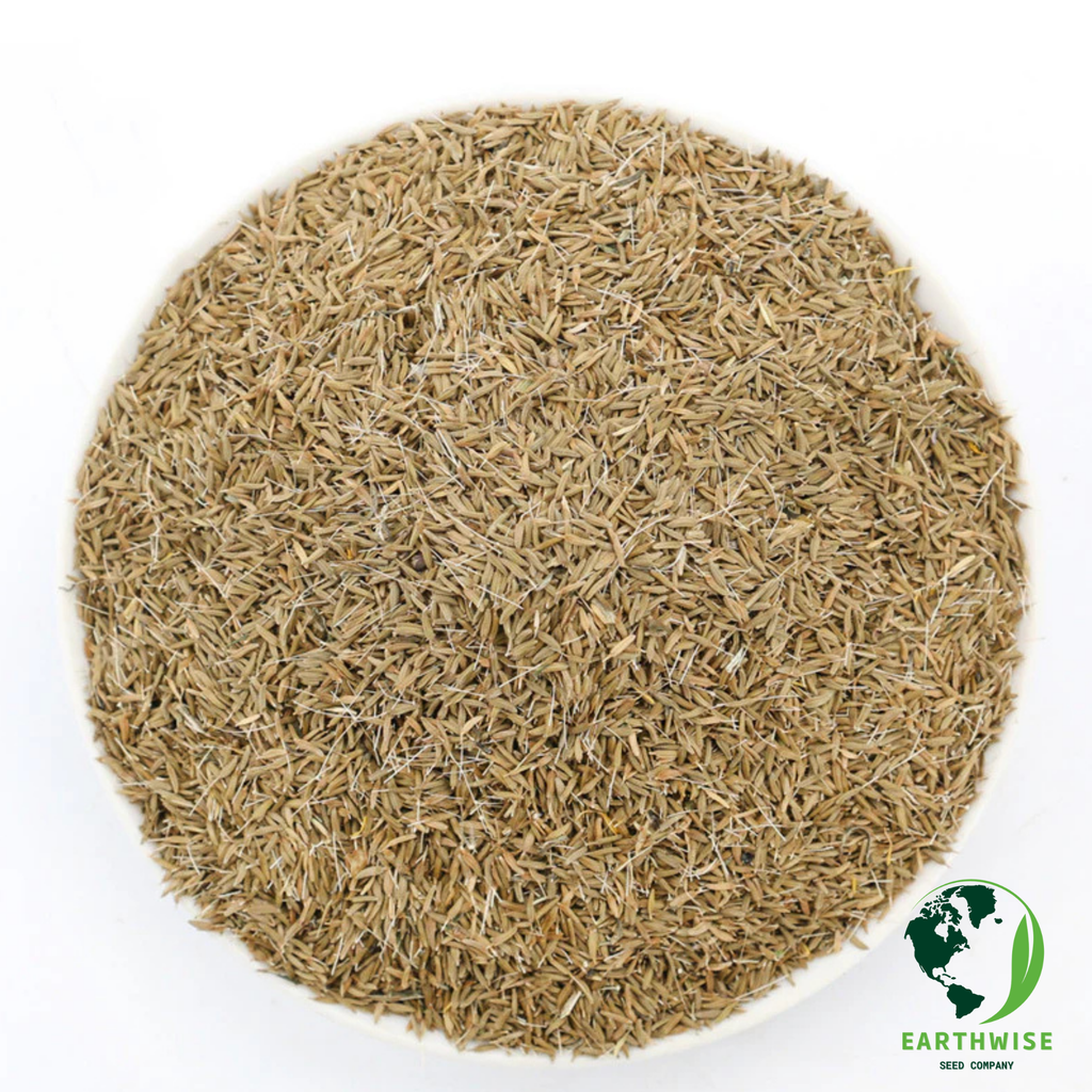 DandiLawn™ Dandelion Lawn Mix