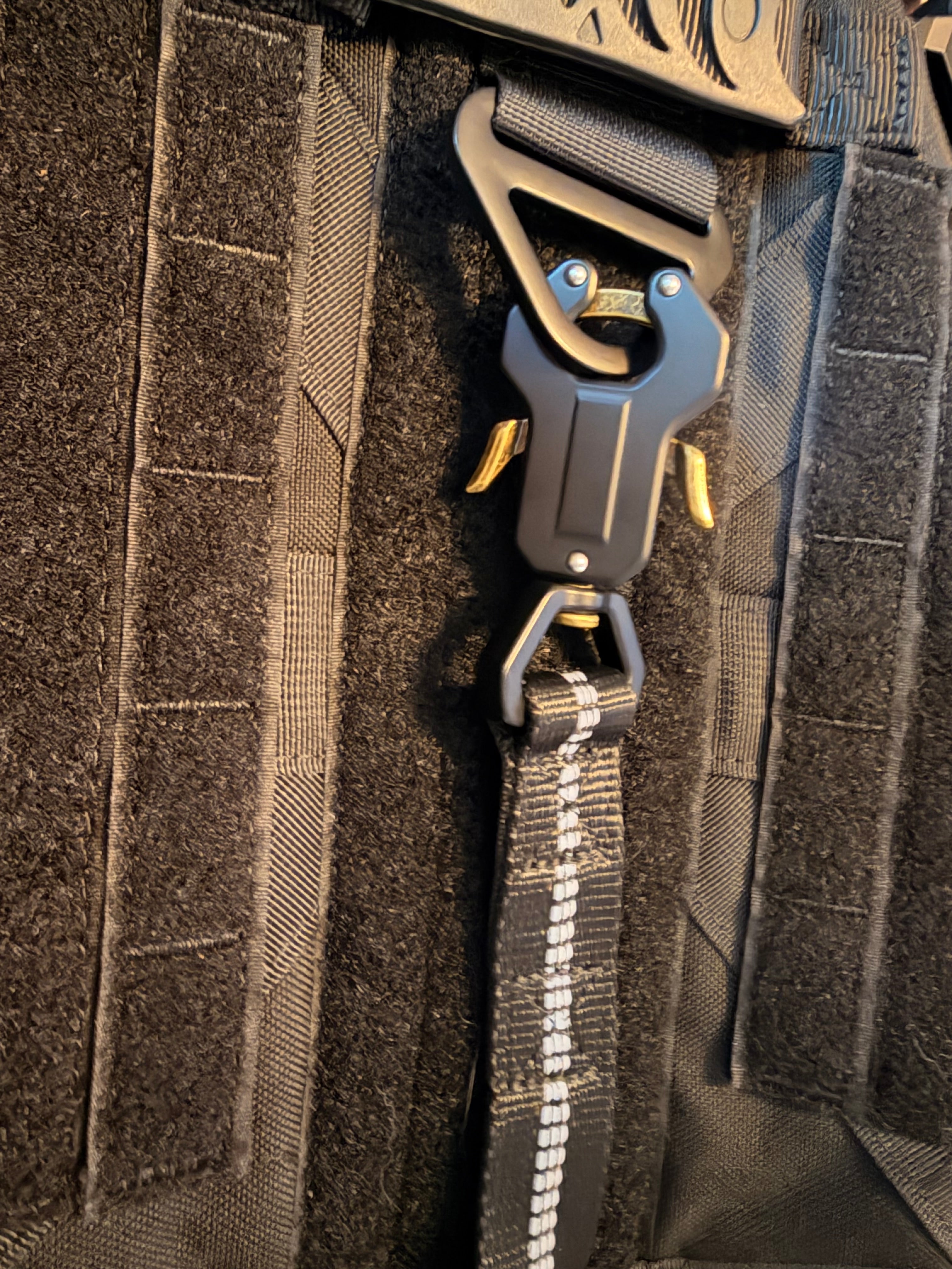 Heavy Duty Quick-Release Bungee Leash