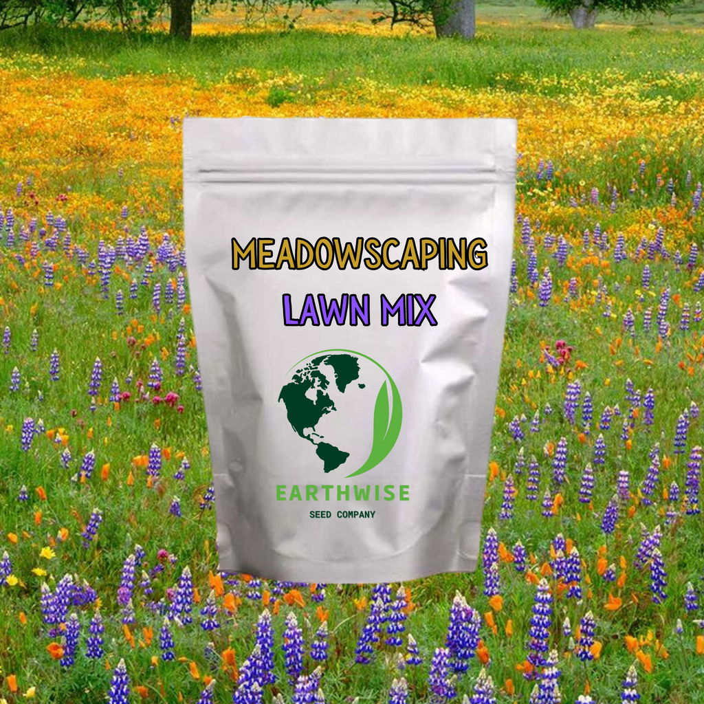 Meadowscaping Mix Alternative Lawn Seed