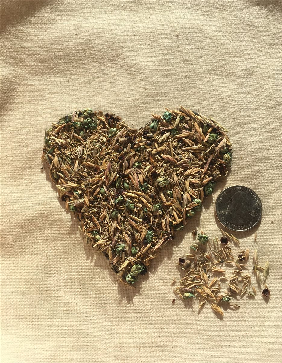 Meadowscaping Mix Alternative Lawn Seed