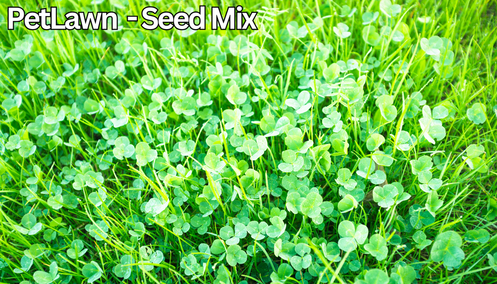 PetLawn™ Dog-Friendly Lawn Mix