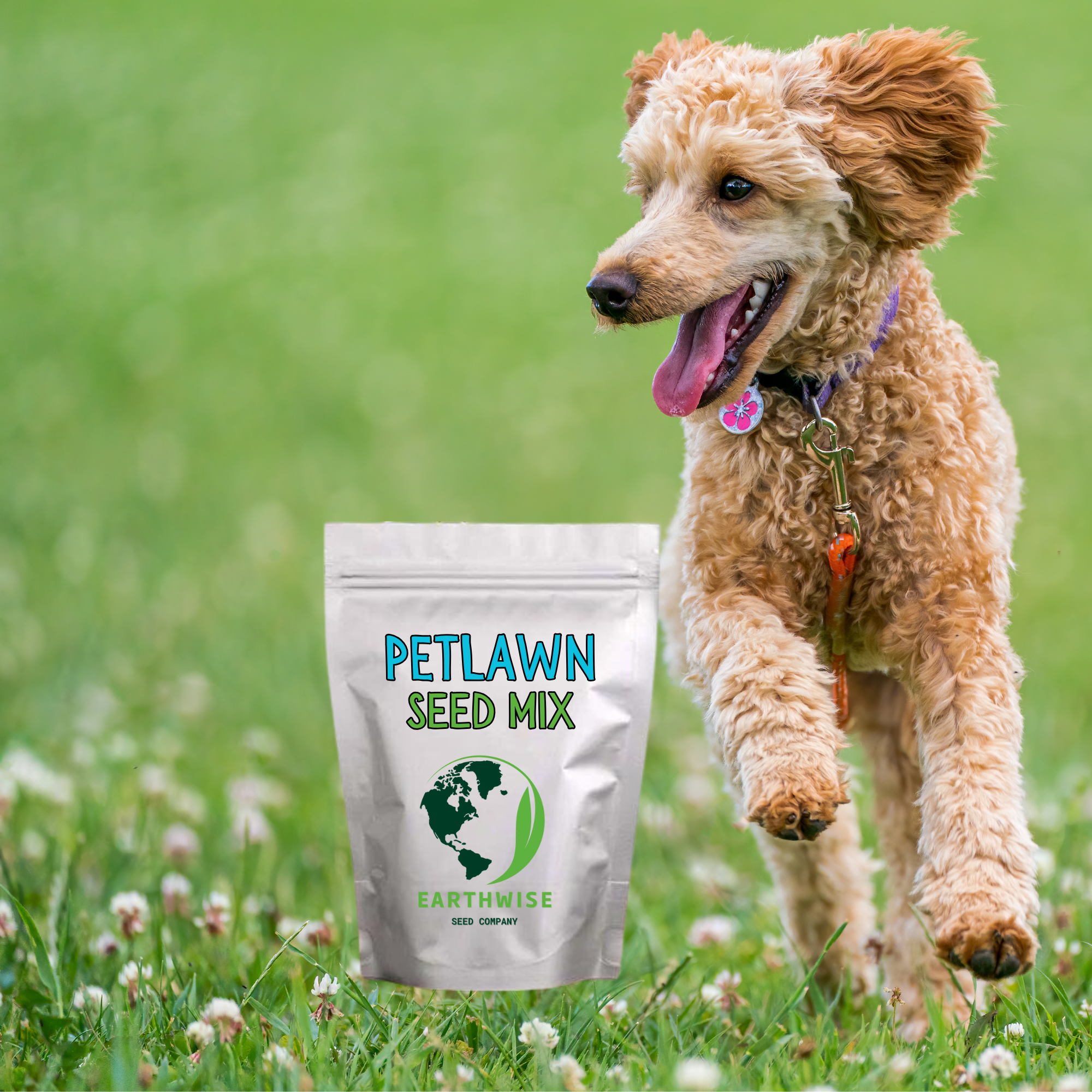 PetLawn™ Dog-Friendly Lawn Mix