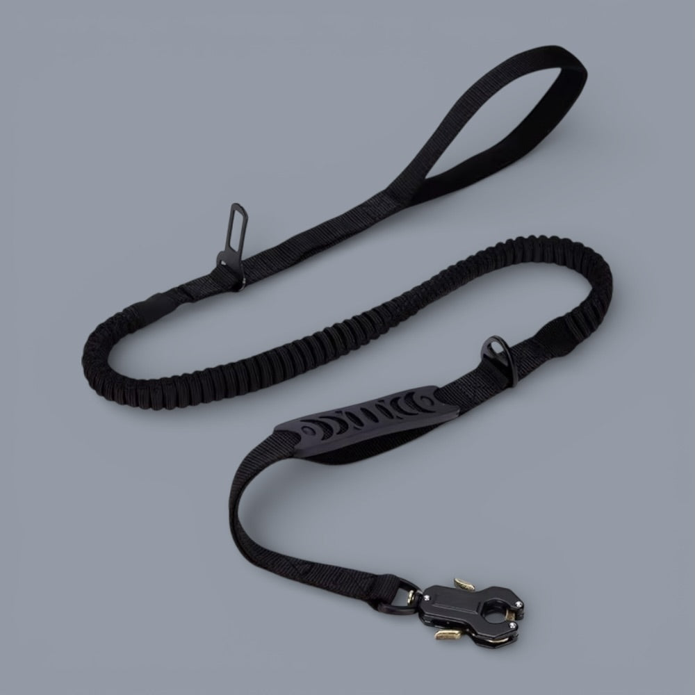 Heavy Duty Quick-Release Bungee Leash
