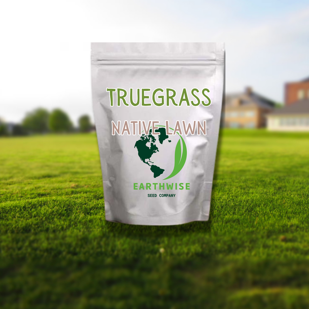 TrueGrass Native Grass Seed - The No Maintenance